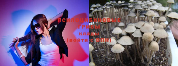 молекула духа Армянск